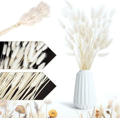 Allecto Plus - Gedroogde witte pampasgras pluimen - 60 stuks - Kunstbloemen voor bruiloften en decoratie - Cadeau voor familie en vrienden