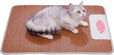 Koelmat Huisdieren - Hondenmat Kattenmat - Comfort Bieden - Slijtvast Ontwerp - 40 x 30 cm - Meerkleurig