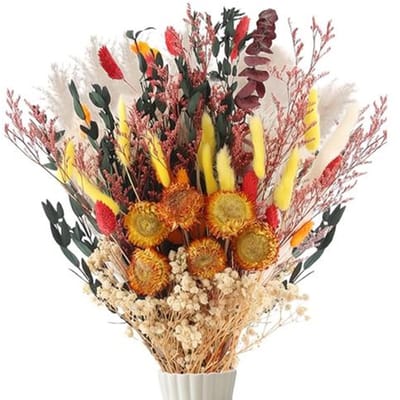 75 stuks decoratieve gedroogde bloemen - 9 soorten droogbloemen boeket met pampasgras voor vaas - natuurlijke herfstdecoratie voor woonkamer, bruiloften en DIY
