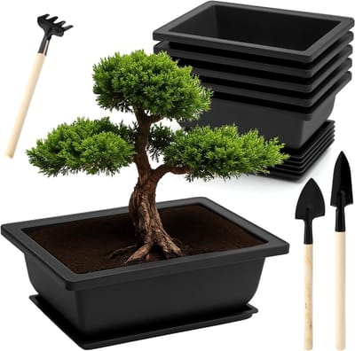 Dailygoods- Bonsaischaal 6 stuks - Onderzetter - Herbruikbare Bonsai-pot - Plantenschaal voor tuin - Tuingereedschapsset - Afmetingen 16,5 x 12 x 6 cm