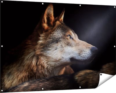 Gards Tuinposter Wolvenkop met een Zonnestraal - Wolf - 150x100 cm - Tuindoek - Tuindecoratie - Wanddecoratie buiten - Tuinschilderij