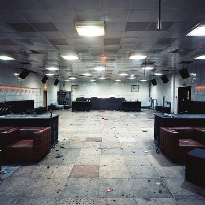 Moth Boys - Spector
