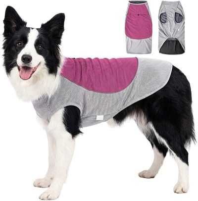 MAGICSHE Koelvest Hond Voor Kleine, Middelgrote En Grote Honden, Ademend En Reflecterend Cooling Vest Met Vakje Voor Ijspak, Koeljas Voor Wandelen, Training Fuchsia XS
