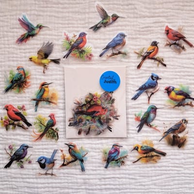 Vogel stickers - transparante stickers - 40 stuks - vogel thema - bullet journal stickers - scrapbook - laptop stickers - volwassenen en kinderen