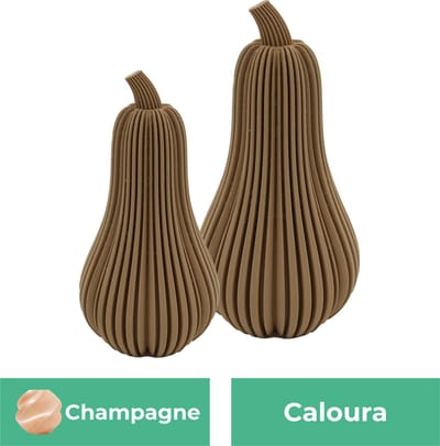 Caloura pompoen beeld set – Decoratief beeld - Champagne - 3d geprinte beeld – Herfst woondecoratie - 11CM & 14CM