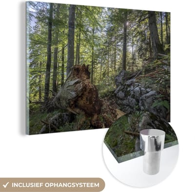 ® Glasschilderij 180x120 cm - Schilderij acrylglas - Oerbossen in het Nationaal Park Kalkalpen in Oostenrijk - Foto op glas - Muurdecoratie woonkamer - Wanddecoratie slaapkamer - Schilderijen