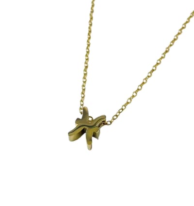 Plux Fashion Vissen Ketting - Goud - 2mm/40cm + 5cm Verlengstuk - Sieraden - Sterrenbeeld Ketting - Vissen Sterrenbeeld - Stainless Steel - Sieraden Cadeau - Pisces Necklace - Gouden Ketting Dames - Ketting Met Hanger - Roestvrijstaal