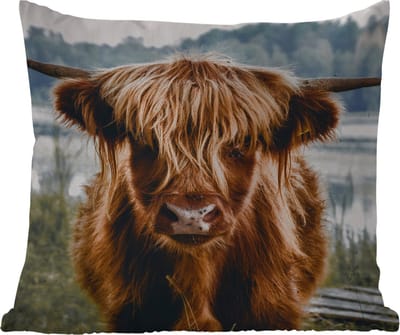 Tuinkussen - Koeien - Schotse hooglander - Bruin - Natuur - 40x40 cm - Weerbestendig
