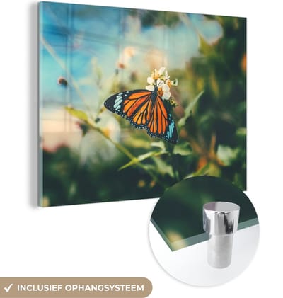 MuchoWow® Glasschilderij 40x30 cm - Schilderij acrylglas - Vlinder - Bloemen - Tuin - Foto op glas - Schilderijen
