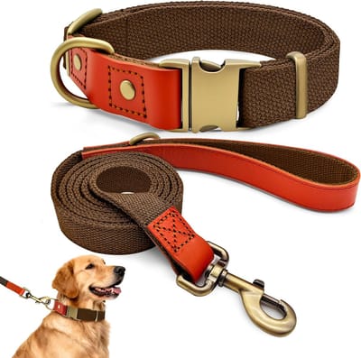 & Hondenriem Set Halsband en Riem Set Combo Verstelbare Halsband Riem voor Kleine, Middelgrote en Grote Honden- Bruin, XL