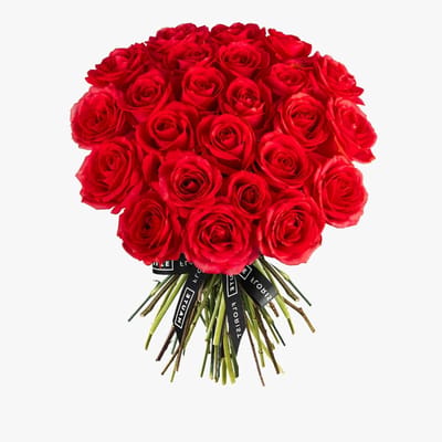Luxe Rode Rozen - Verse Snijbloemen - Romantische Gebaren - Groot Bloemboeket - 24 Stuks - Rood