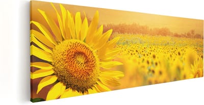 Artaza Canvas Schilderij Zonnebloemenveld - 60x20 cm - Wanddecoratie Bloemen - Muurdecoratie Landschap - Kamer Accessoires