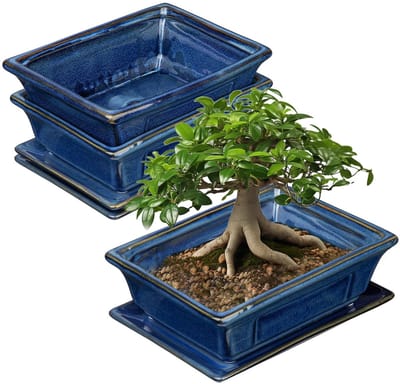 Dailygoods- Bonsai Potten Set Van 2 - Keramisch - Onderzetters - Drainagegaten - Voor Binnen/Buiten - Diameter Opening 19 cm - Bloempotten