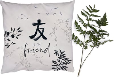 Sierkussens - Kussentjes Woonkamer - 50x50 cm - Vriendschap - Best friend - Vrienden - Quotes - Spreuken - BFF