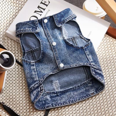 Gilet en jean pour animaux de compagnie Vêtements minimalistes à simple boutonnage Teddy Maltais Dog Yorkshire Cat Vêtements pour chiots Costume pour chien S