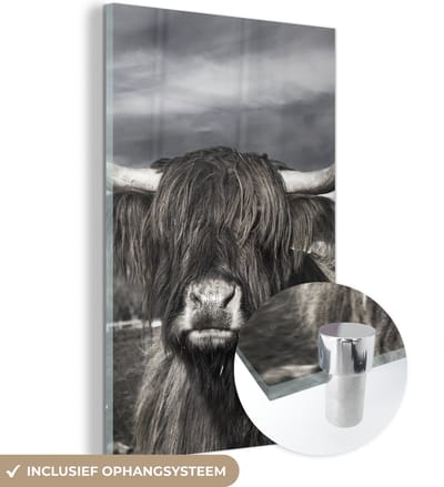 MuchoWow® Glasschilderij 120x180 cm - Schilderij acrylglas - Schotse Hooglander - Dieren - Hoorns - Foto op glas - Schilderijen