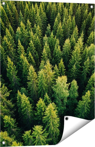 Gards Tuinposter Bos met Bomen vanaf Boven - 60x80 cm - Tuindoek - Tuindecoratie - Wanddecoratie buiten - Tuinschilderij