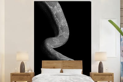 Behang - Fotobehang Dieren - Slang - Zwart - Wit - Portret - Breedte 200 cm x hoogte 300 cm