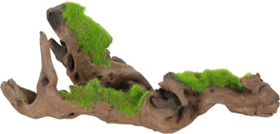 Zolux Groeiend Decor Malaysia Root S - Aquarium - Ornament - 11x11x17.5 cm