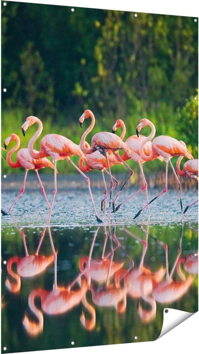 Gards Tuinposter Kudde Flamingo's op het Water - 120x180 cm - Tuindoek - Tuindecoratie - Wanddecoratie buiten - Tuinschilderij