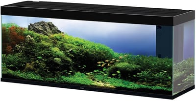 Ciano Emotions pro 150 | 300L | 149,2 x 39,8 x 61CM Zwart Aquarium