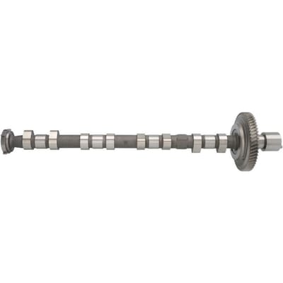 Nokkenas  AE CAM973