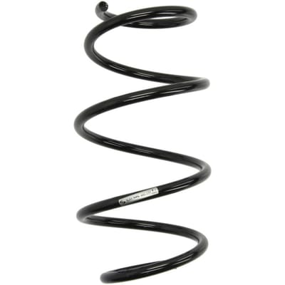 Chassisveer SACHS 993 344