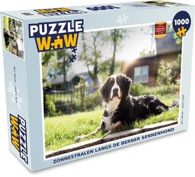 Puzzel Zonnestralen langs de Berner Sennenhond - Legpuzzel - Puzzel 1000 stukjes volwassenen