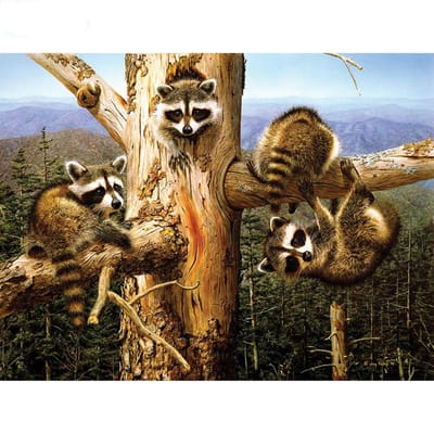 5D DIY Diamond schilderij Koala borduurwerk mozaïek kruissteek strass decoratie 20X30CM beige