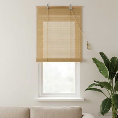 vidaXL - Rolgordijn - Naturel - 40 - x - 160 - cm - Bamboe