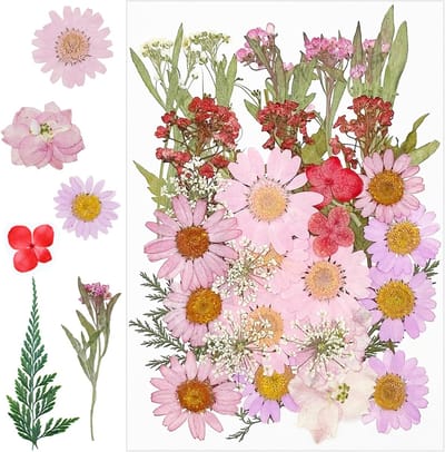 36 Stuks Gedroogde Bloemen voor Hars, Natuurlijke Geperste Rozen, DIY Sieraden en Kaarsen Decoratie