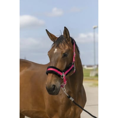 Equitheme Mouton Nylon Halster Bruin Full