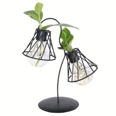 1 pièce Vase Transparent Moderne Créatif à Fleurs Séchées, Contenant pour Plantes Vertes Hydroponiques, Arrangement Floral de Verdure Simulé, Décorations de Bureau pour la Maison Pack of 1 black