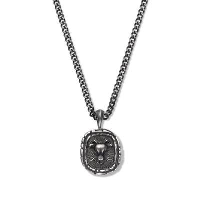 Frank1967 7FB-0042 zodiac ketting - 60CM - Steenbok - Cadeau voor mannen - Sterrenbeeld