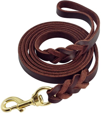 WiseGoods Premium Leren Hondenriem Bruin 170CM - Riemen Hond – Gevlochten Hondenlijn En Hondenleiband - Hondenlijn - Honden Riemen
