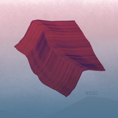 'Ndiaz - La Brune (CD)