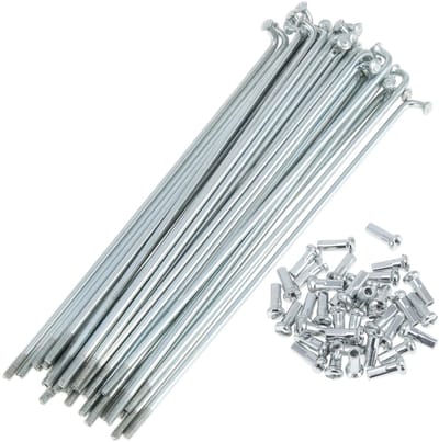 Dailygoods- Fietsspaken 36 Stuks - 13G Fietswielspaken - Verzinkt