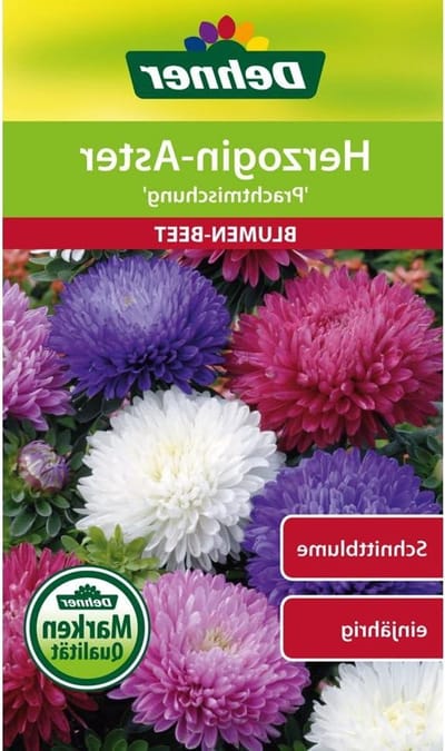 Bloemenmengsel Pakket - Eenjarige Zaden - Tuin Decoratie - Veelkleurige Variëteit - 150 Planten - Multicolor