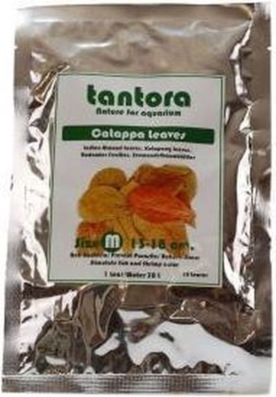 Tantora Catappa bladeren M 10 st.