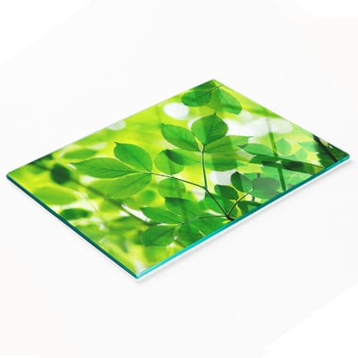 Gehard multifunctioneel decoratief bord van glas met groene bladeren, 80x52 cm