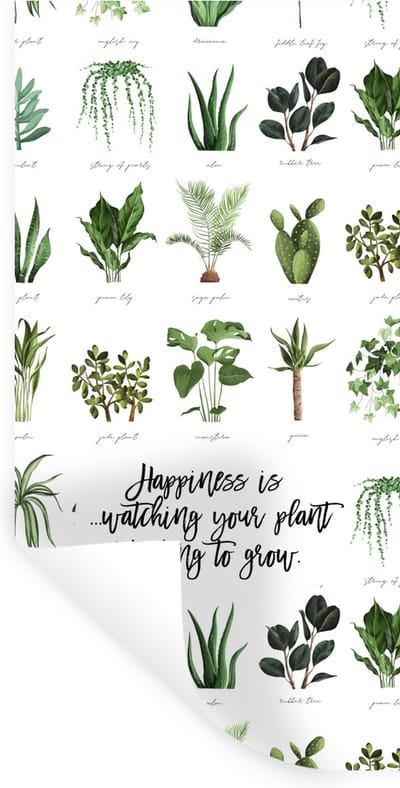 Muurstickers - Sticker Folie - Quotes - Happiness is... watching your plant starting to grow - Spreuken - Kamerplanten - 40x80 cm - Plakfolie - Muurstickers Kinderkamer - Zelfklevend Behang - Zelfklevend behangpapier - Stickerfolie