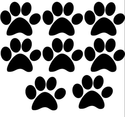 Hondenpootje / hondenpootjes mini - (auto) sticker - zwart - 8 stuks - 1,8 cm x 2,2 cm - Familiestickers