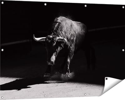Gards Tuinposter Stier in de Arena - Zwart Wit - 120x80 cm - Tuindoek - Tuindecoratie - Wanddecoratie buiten - Tuinschilderij
