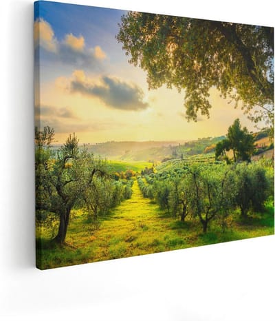 Artaza Canvas Schilderij Olijfboomgaard - 50x40 cm - Wanddecoratie Italië - Muurdecoratie Landschap - Kamer Accessoires Natuur