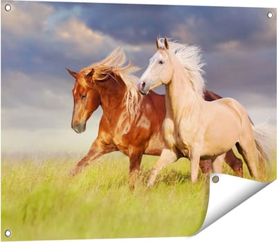 Gards Tuinposter Bruin en Wit Paard in de Wei - 80x60 cm - Tuindoek - Tuindecoratie - Wanddecoratie buiten - Tuinschilderij