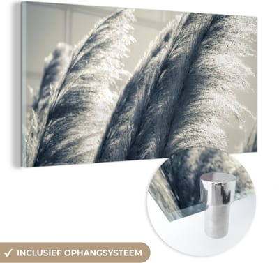 MuchoWow® Glasschilderij 40x20 cm - Schilderij acrylglas - Pampasgras - Zwart - Wit - Natuur - Foto op glas - Schilderijen