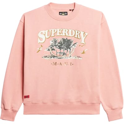 Superdry - Travel Souvenir sweatshirt met losse pasvorm - Dames - Truien