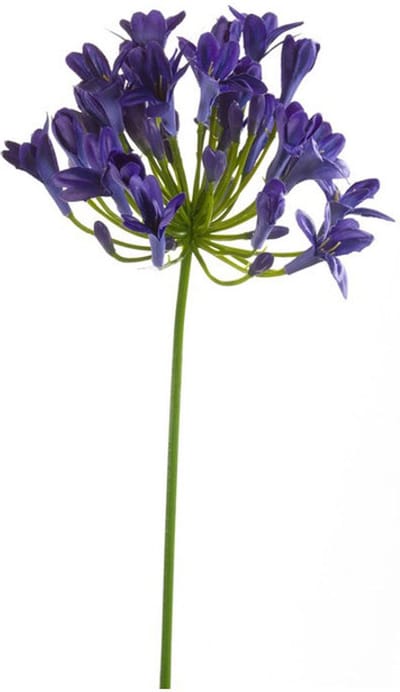 Emerald - Kunstbloem Agapanthus 75cm blauw - Kunstplant voor binnen
