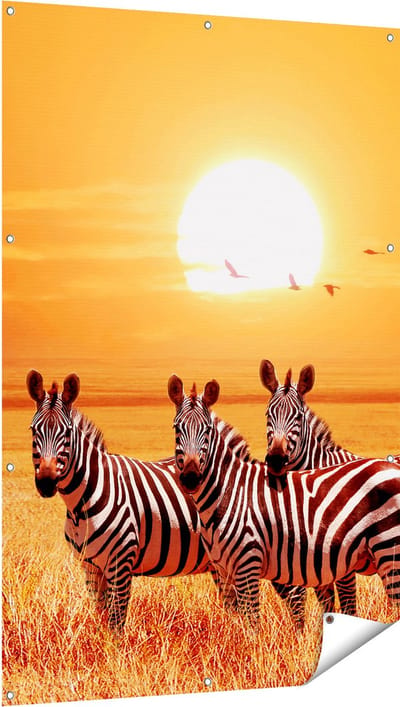 Gards Tuinposter Drie Zebra's bij Zonsondergang - 100x150 cm - Tuindoek - Tuindecoratie - Wanddecoratie buiten - Tuinschilderij