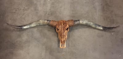 Longhorn Skull gegraveerd - Longhoorn - 160 cm premium